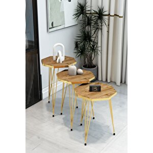 3'lü Sekizgen Zigon Sehpa Seti - Gold Metal Ayaklı, Modern & Şık Yan Sehpa, Dayanıklı Salon Ofis Atlantik Çam