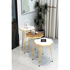 3'lü Sekizgen Zigon Sehpa Seti - Gold Metal Ayaklı, Modern & Şık Yan Sehpa, Dayanıklı Salon Ofis Beyaz - Atlantik Çam 