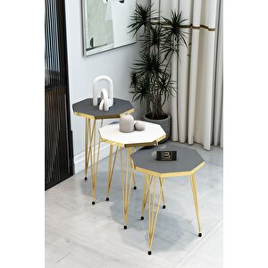 3'lü Sekizgen Zigon Sehpa Seti - Gold Metal Ayaklı, Modern & Şık Yan Sehpa, Dayanıklı Salon Ofis Antrasit Beyaz