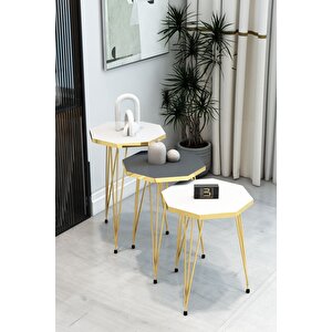 3'lü Sekizgen Zigon Sehpa Seti - Gold Metal Ayaklı, Modern & Şık Yan Sehpa, Dayanıklı Salon Ofis Beyaz - Antrasit