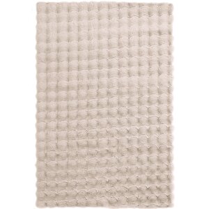 Sofia Vizon Halı Yıkanabilir Halı Yumuşak Uzun Tüylü Suni Kürk Halı Tavşan Post Peluş Halı 100x350 cm