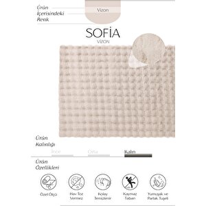 Sofia Vizon Halı Yıkanabilir Halı Yumuşak Uzun Tüylü Suni Kürk Halı Tavşan Post Peluş Halı 120x450 cm