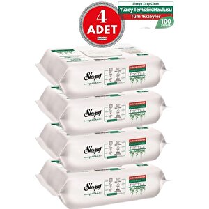 Easy Clean Yüzey Tem. Havlusu 100 X4 Adet