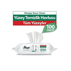 Easy Clean Yüzey Tem. Havlusu 100 X4 Adet