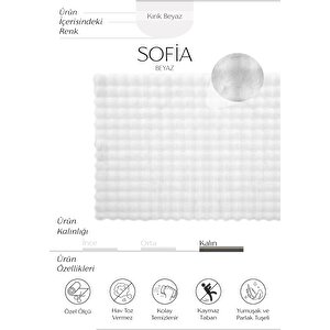 Sofia Beyaz Halı Yıkanabilir Halı Yumuşak Uzun Tüylü Suni Kürk Halı Tavşan Post Peluş Halı 120x180 cm