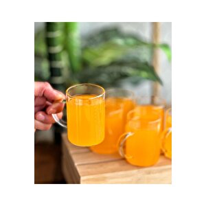 6 Adet Borosilikat Isıya Dayanıklı Termısıl Cam Kupa Bardak 200 Ml