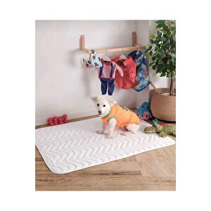 Kedi Köpek Çiş Pedi 60x90 | Sıvı Geçirmez Yıkanabilir Emici | Hasta Alezi | 4 Ebat