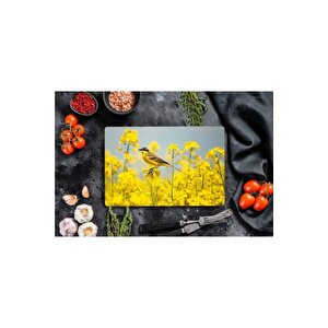 20x30 Cm Cam Kesme Tahtası Serçe Görünümlü