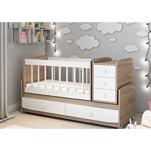 Pati̇ko Ms 290 Sonomo Ci̇bi̇nli̇kli̇ Büyüyebi̇len Beşi̇k