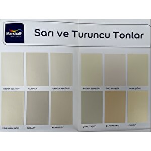 Maximum Silikonlu 15 Lt İç Cephe Boyası Fi̇ldi̇şi̇