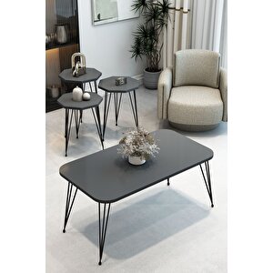 3'lü Sekizgen Zigon Sehpa Ve Dikdörtgen Orta Sehpa Takımı Modern Siyah Metal Ayaklı Salon Sehpa Seti Antrasit