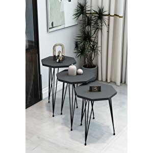 3'lü Sekizgen Zigon Sehpa Ve Dikdörtgen Orta Sehpa Takımı Modern Siyah Metal Ayaklı Salon Sehpa Seti Antrasit