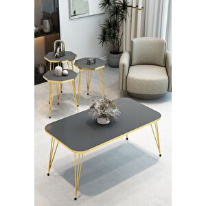 3'lü Sekizgen Zigon Sehpa Ve Dikdörtgen Orta Sehpa Takımı Modern Gold Metal Ayaklı Salon Sehpa Seti Antrasit