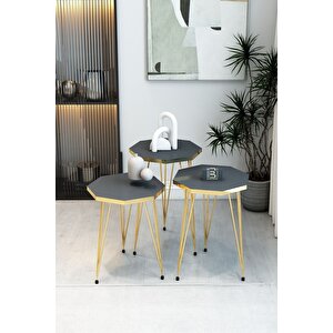 3'lü Sekizgen Zigon Sehpa Ve Dikdörtgen Orta Sehpa Takımı Modern Gold Metal Ayaklı Salon Sehpa Seti Antrasit