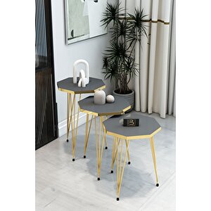 3'lü Sekizgen Zigon Sehpa Ve Dikdörtgen Orta Sehpa Takımı Modern Gold Metal Ayaklı Salon Sehpa Seti Antrasit