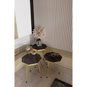 3'lü Sekizgen Zigon Sehpa Ve Dikdörtgen Orta Sehpa Takımı Modern Gold Metal Ayaklı Salon Sehpa Seti Siyah Mermer