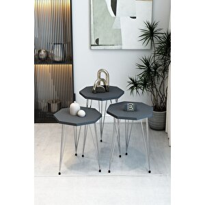 3'lü Sekizgen Zigon Sehpa Seti - Gümüş Metal Ayaklı, Modern & Şık Yan Sehpa, Dayanıklı Salon Ofis Antrasit