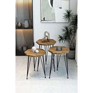 3'lü Sekizgen Zigon Sehpa Seti - Siyah Metal Ayaklı, Modern & Şık Yan Sehpa, Dayanıklı Salon Ofis Atlantik Çam