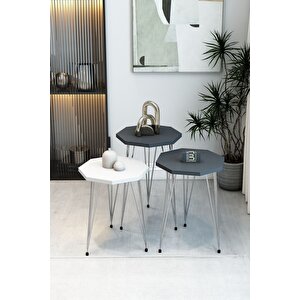 3'lü Sekizgen Zigon Sehpa Seti - Gümüş Metal Ayaklı, Modern & Şık Yan Sehpa, Dayanıklı Salon Ofis Antrasit Beyaz
