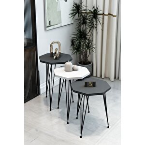 3'lü Sekizgen Zigon Sehpa Seti - Siyah Metal Ayaklı, Modern & Şık Yan Sehpa, Dayanıklı Salon Ofis Antrasit Beyaz
