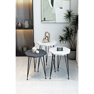 3'lü Sekizgen Zigon Sehpa Seti - Siyah Metal Ayaklı, Modern & Şık Yan Sehpa, Dayanıklı Salon Ofis Beyaz - Antrasit