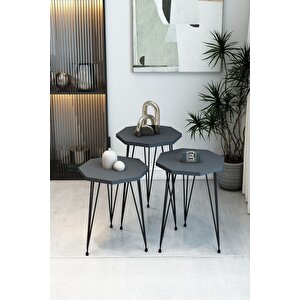 3'lü Sekizgen Zigon Sehpa Seti - Siyah Metal Ayaklı, Modern & Şık Yan Sehpa, Dayanıklı Salon Ofis Antrasit