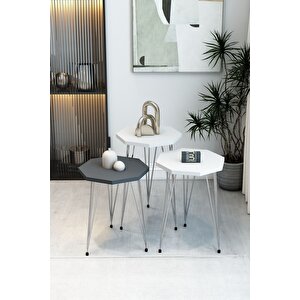 3'lü Sekizgen Zigon Sehpa Seti - Gümüş Metal Ayaklı, Modern & Şık Yan Sehpa, Dayanıklı Salon Ofis Beyaz - Antrasit