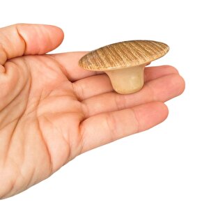 15 Adet Bohem Plastik Kulp Ceviz Bombeli Düğme Mobilya Mutfak Dolap Dolabı Çekmece Kulbu Kulpları