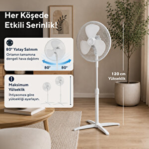 Ktf-290 Beyaz Vantilatör 16'' (3p)