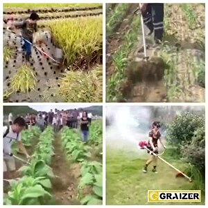 Alman  Yan Tipi Benzinli Motorlu Ot Çalı Tırpanı Çim Biçme Makinesi Tırpan Canavar Baslik