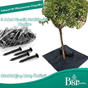 Ağaç Taban Örtüsü 80x80  10 Adet Bsr Garden