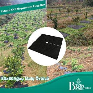 Ağaç Taban Örtüsü 80x80  10 Adet Bsr Garden