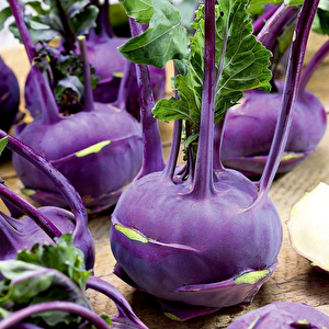 Ata Tohumları  Mor Kohlrabi (alabaş) Tohumu  (15 Tohum)