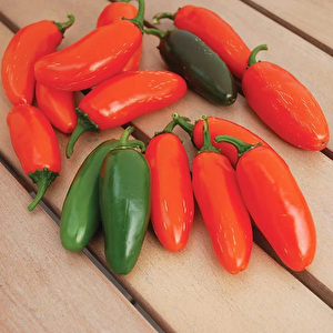 Nadir Ata Tohumları Zehir Gibi Acı Çok Acı Gialla Jalapeno Biber Tohumu (10 Tohum)