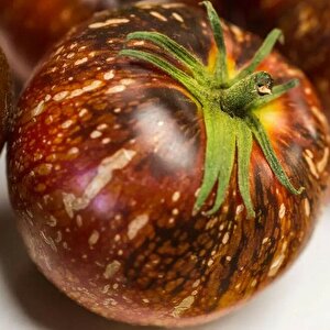 Dark Galaxy Domates Tohumu (15 Tohum)