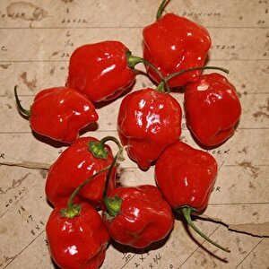 Habernero Red  Small Çok Acı Biber Tohumu(15 Adet)