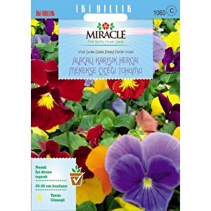 Miracle Swiss Giant Alacalı Karışık Hercai Menekşe Çiçeği (300 Tohum)