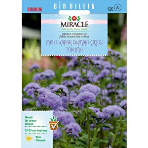Miracle Ageratum Mexicanum Mavi Vapur Dumanı Çiçeği Tohumu (100 Tohum)