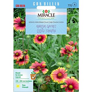Miracle Karışık Gayret Çiçeği (giallardia Mix) Tohumu (190 Tohum)