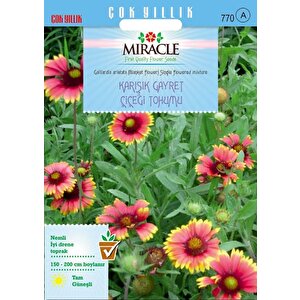 Miracle Karışık Gayret Çiçeği (giallardia Mix) Tohumu (190 Tohum)
