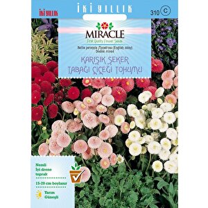 Miracle Karışık Şeker Tabağı(çayır Papatyası) Çiçeği Tohumu(100 Tohum)