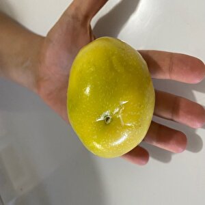 Özel Dev Meyveli Passiflora Edulis Var Flavicarpa Tohumu (300 Tohum)