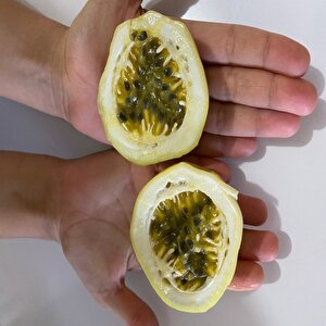 Özel Dev Meyveli Passiflora Edulis Var Flavicarpa Tohumu (300 Tohum)