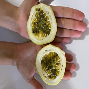 Özel Dev Meyveli Passiflora Edulis Var Flavicarpa Tohumu (300 Tohum)