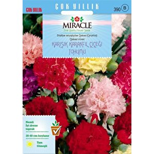 Miracle Chabaud Mixed Karışık Renkli Karanfil Çiçeği Tohumu (190 Tohum)