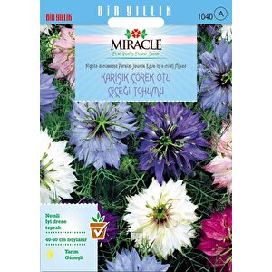 Miracle Karışık Renkli Çörek Otu Çiçeği Tohumu (100 Tohum)