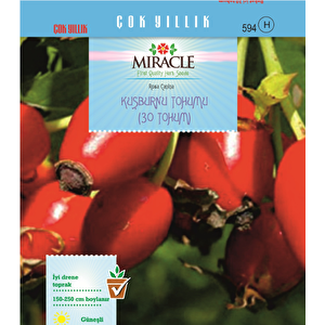 Miracle Kuşburnu Tohumu (20 Adet)