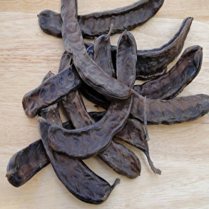 Doğal Amerikan Carop(harnup) Ağacı Tohumu(5 Tohum)