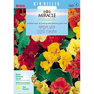 Miracle Karışık Double Renkli Sarmaşık Latin Çiçeği Tohumu (10  Tohum)