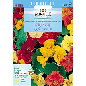Miracle Karışık Double Renkli Sarmaşık Latin Çiçeği Tohumu (10  Tohum)